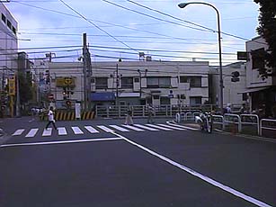 ��R�w��Ԃ̐�